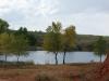 Pond