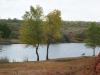 Pond