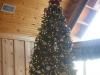 12 ft christmas tree in Great Room