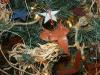 Christmas decoration