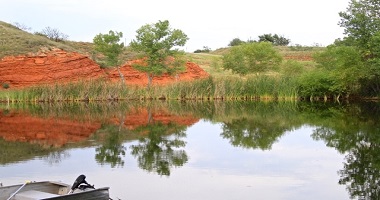 Tree reflections in the water