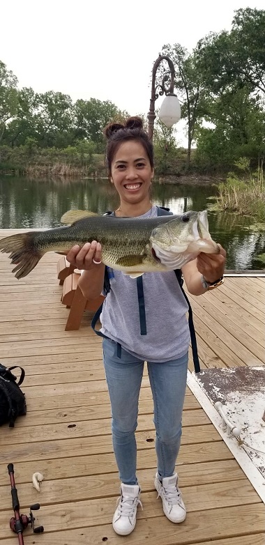 Catfish caught in the pond